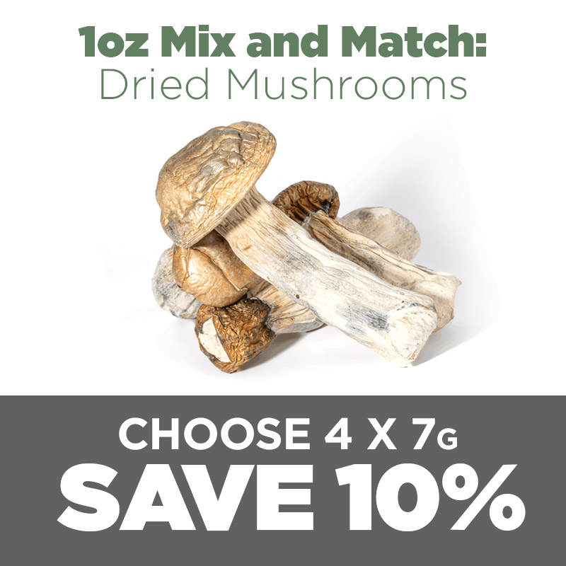 1Oz Mix and Match Dried Mushrooms