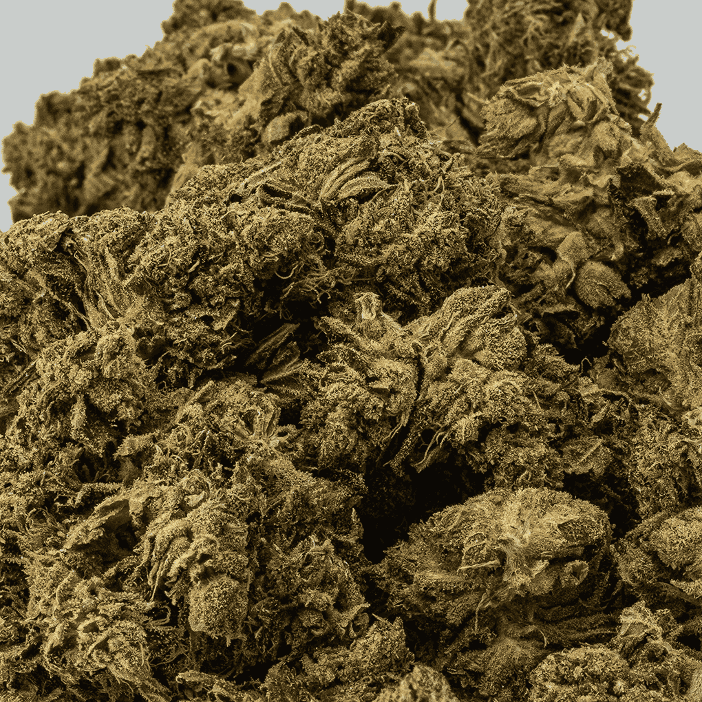 AK-47 (AAA) - Image 4