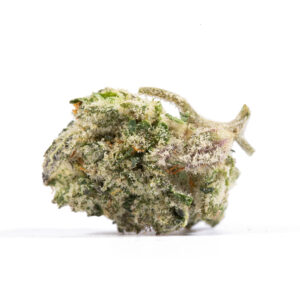 Alternative view of Blue Lobster Smalls (AAA+)