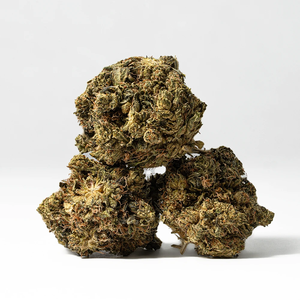 White Death (AAA) - Image 3