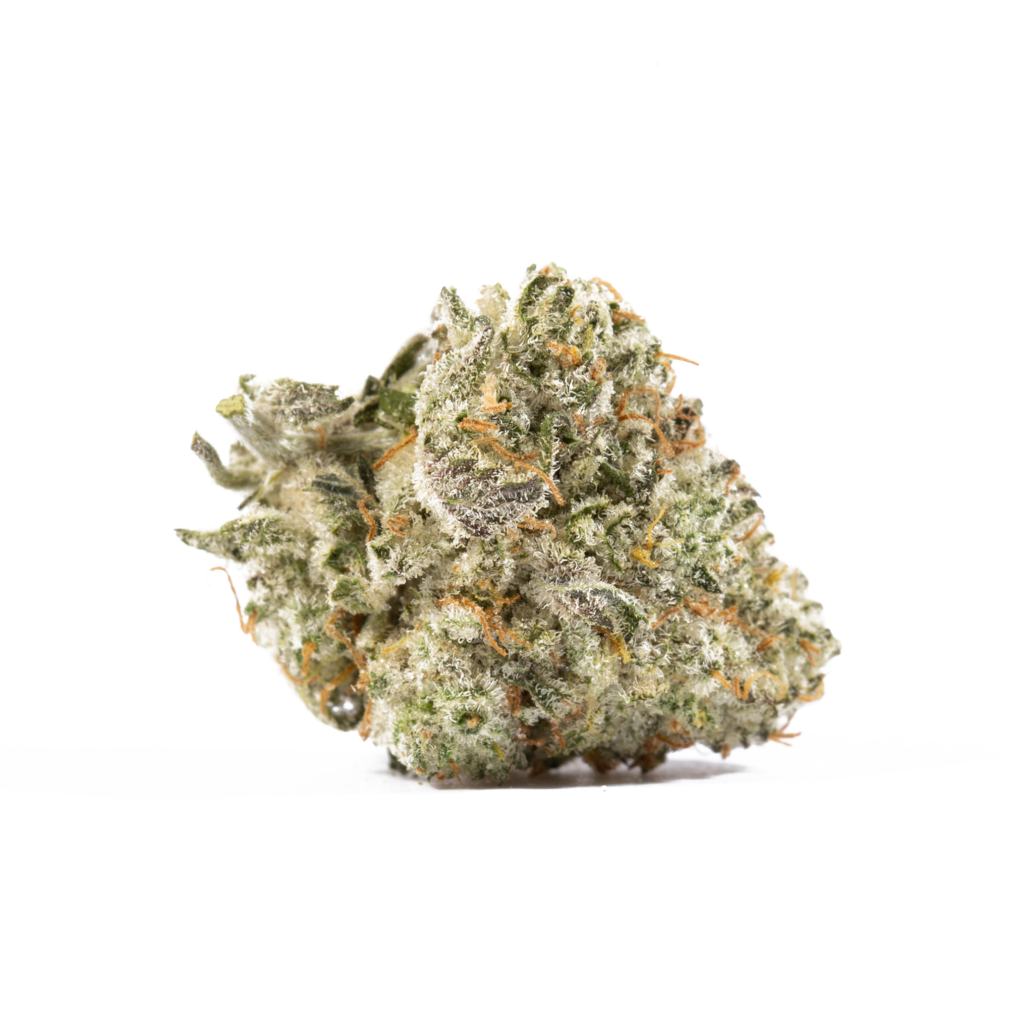 White Widow Smalls (AA+) - Image 5