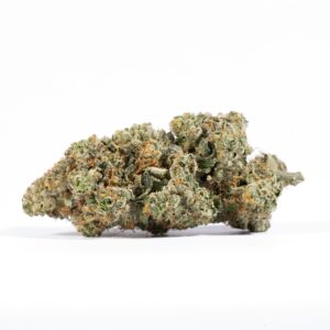 Alternative view of El Chapo (AAAA)