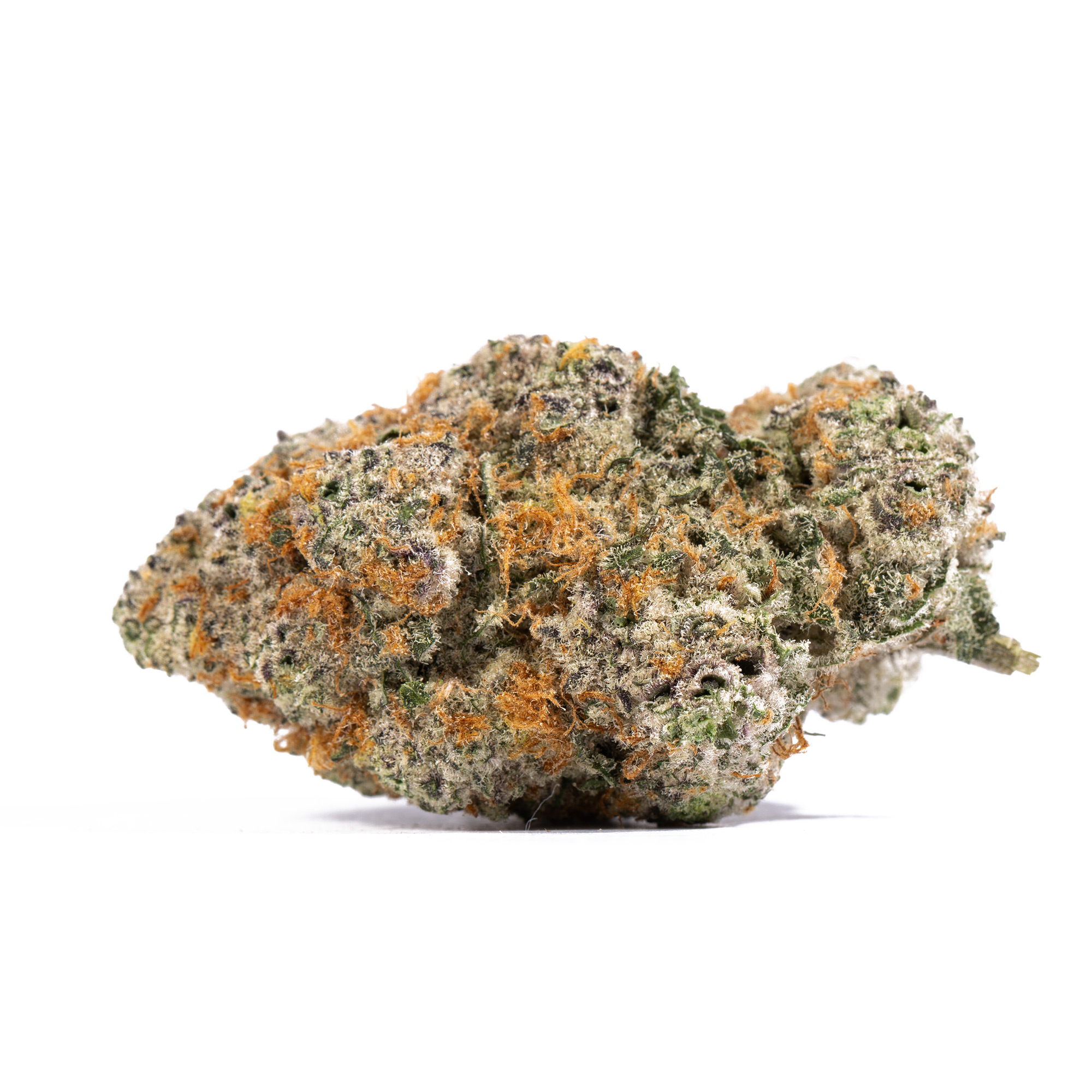 Slurricane (AAAA) - Image 3