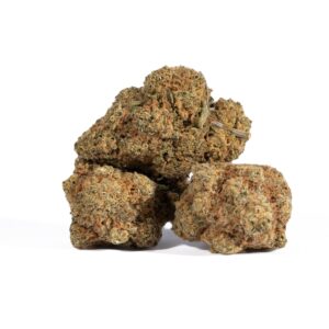 Alternative view of Afghan Hawaiian (AA)