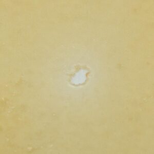 Alternative view of House Shatter - Candyland (Sativa)