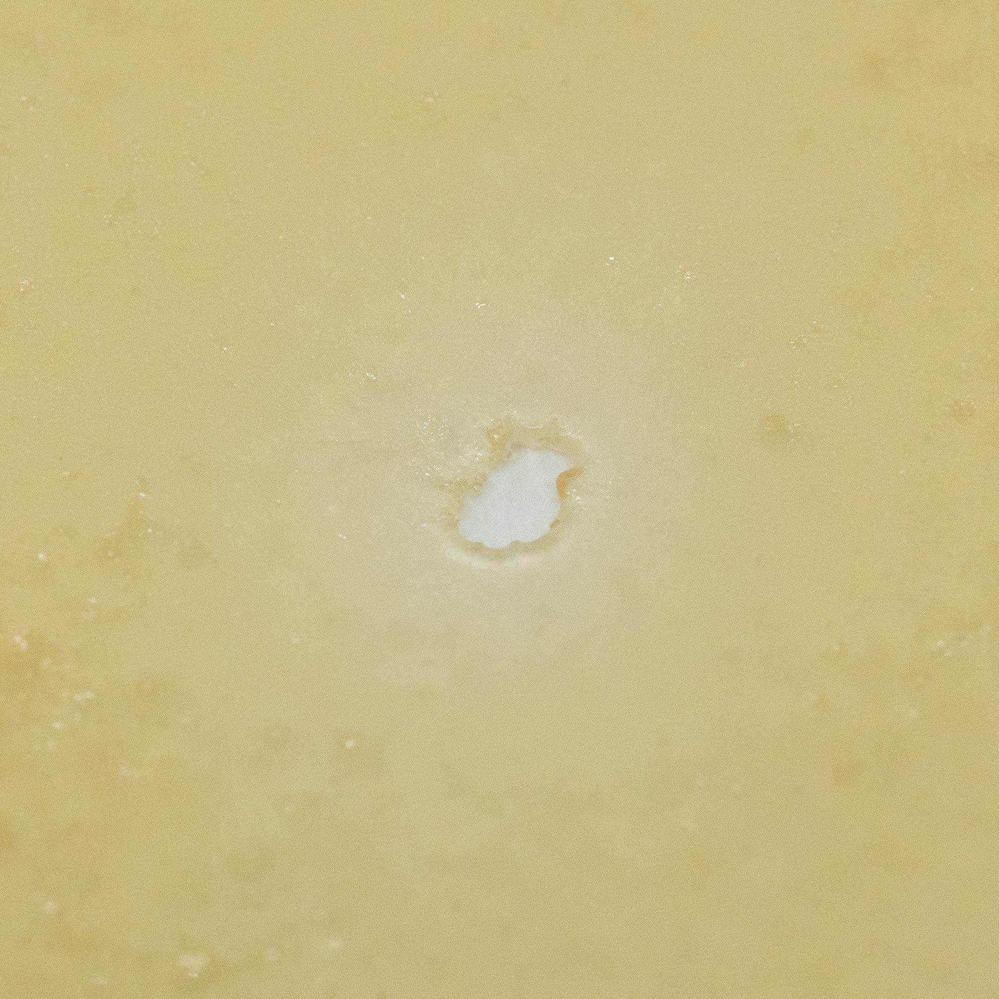 House Shatter - Candyland (Sativa) - Image 2