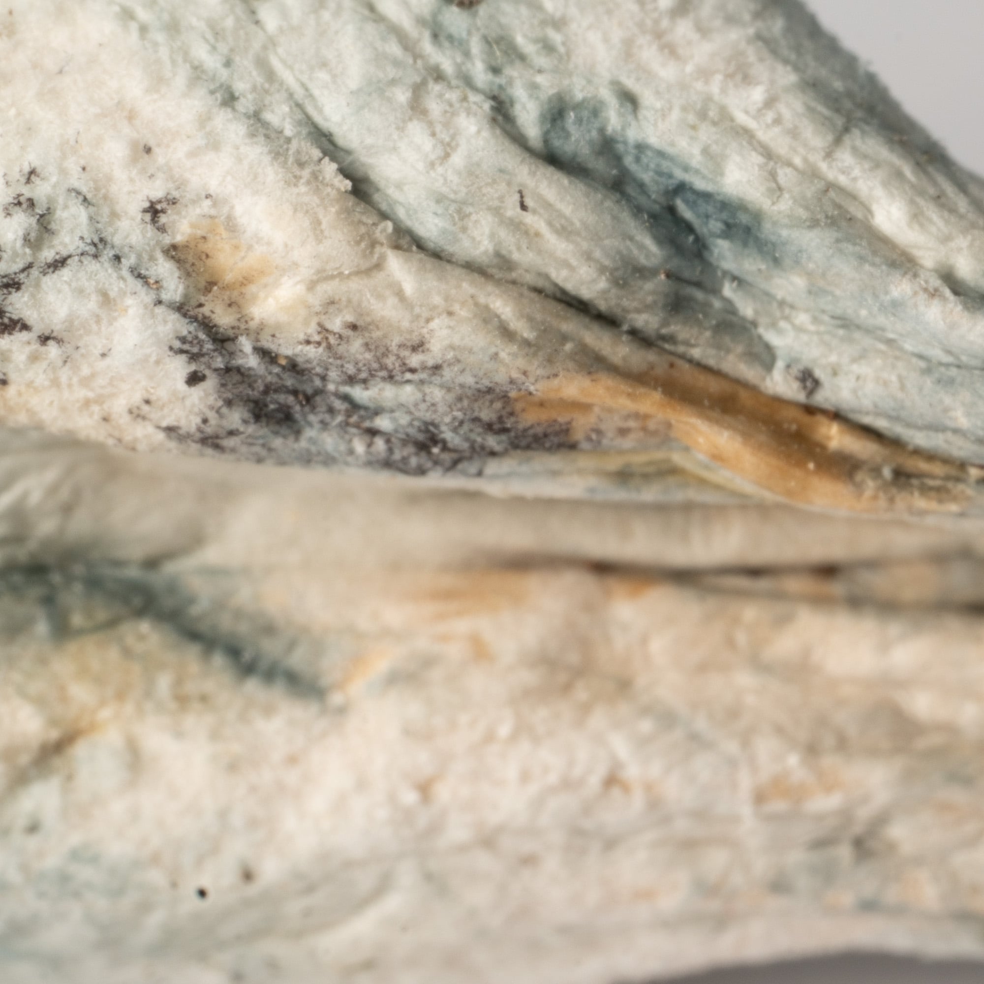 Full Moon Party Mushrooms - Image 4