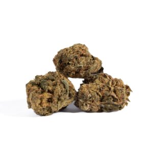 Alternative view of Shiva Skunk (A)