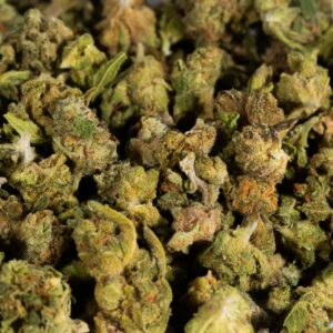 Alternative view of Maui Wowie Smalls (A)