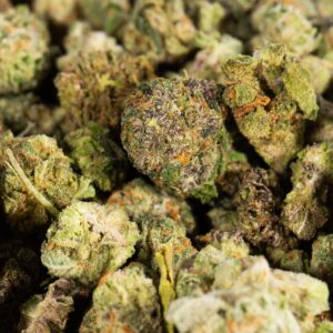 Alternative view of Mini Buds (AA)