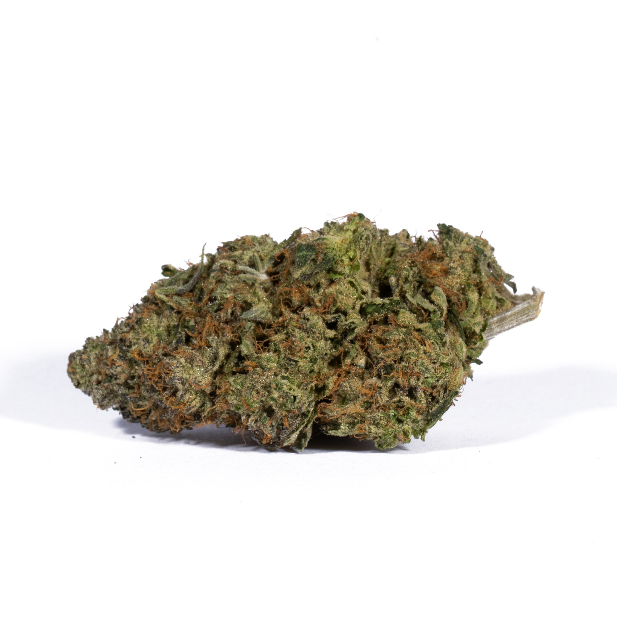 Acapulco Gold (AAAA) Promo - Image 2
