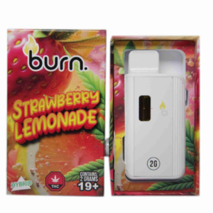 Burn Disposable Vape (2g) - Strawberry Lemonade (Hybrid)