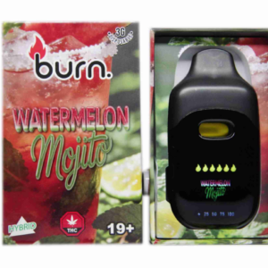 Burn LCD Disposable Vape (3g) - Watermelon Mojito (Hybrid)
