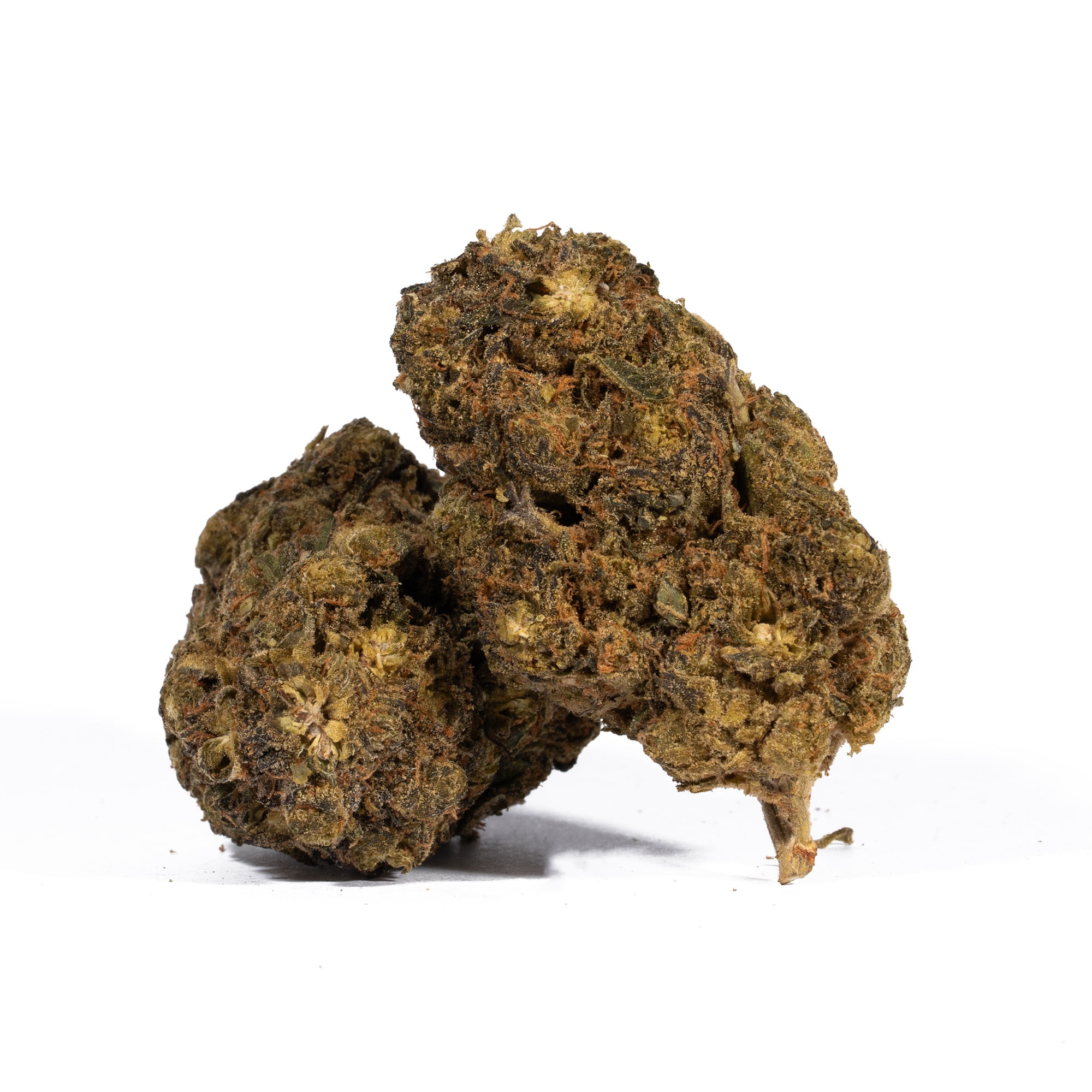 Super Boof (AA) Promo