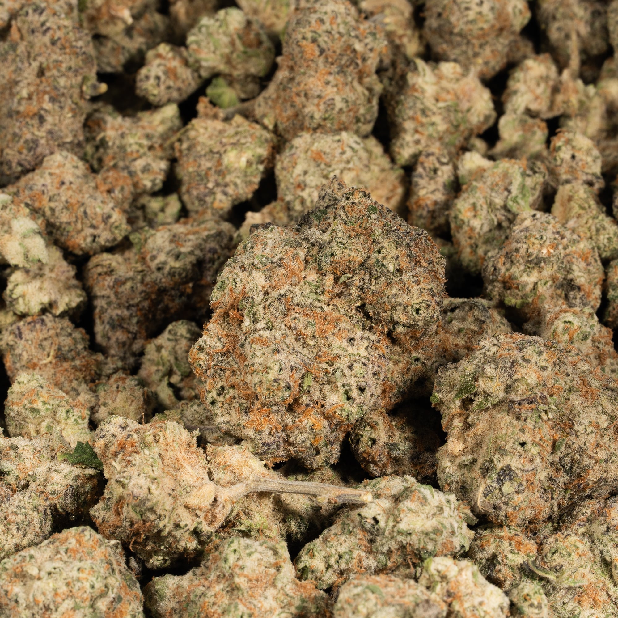 Fruity Pebbles (AAA) - Image 4