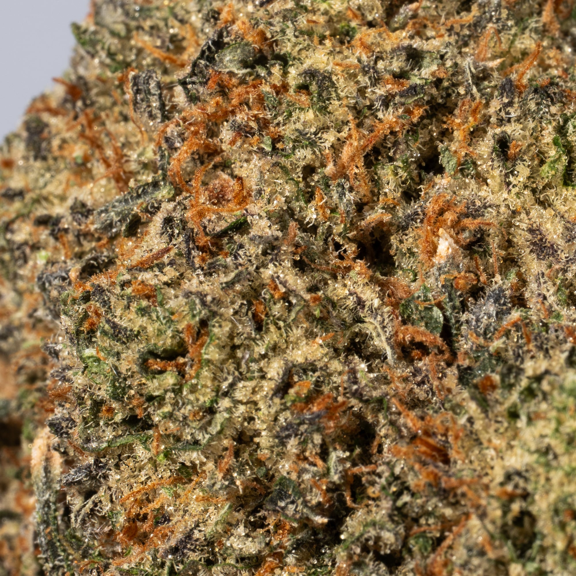 Super Silver Haze (AAA) - Image 5