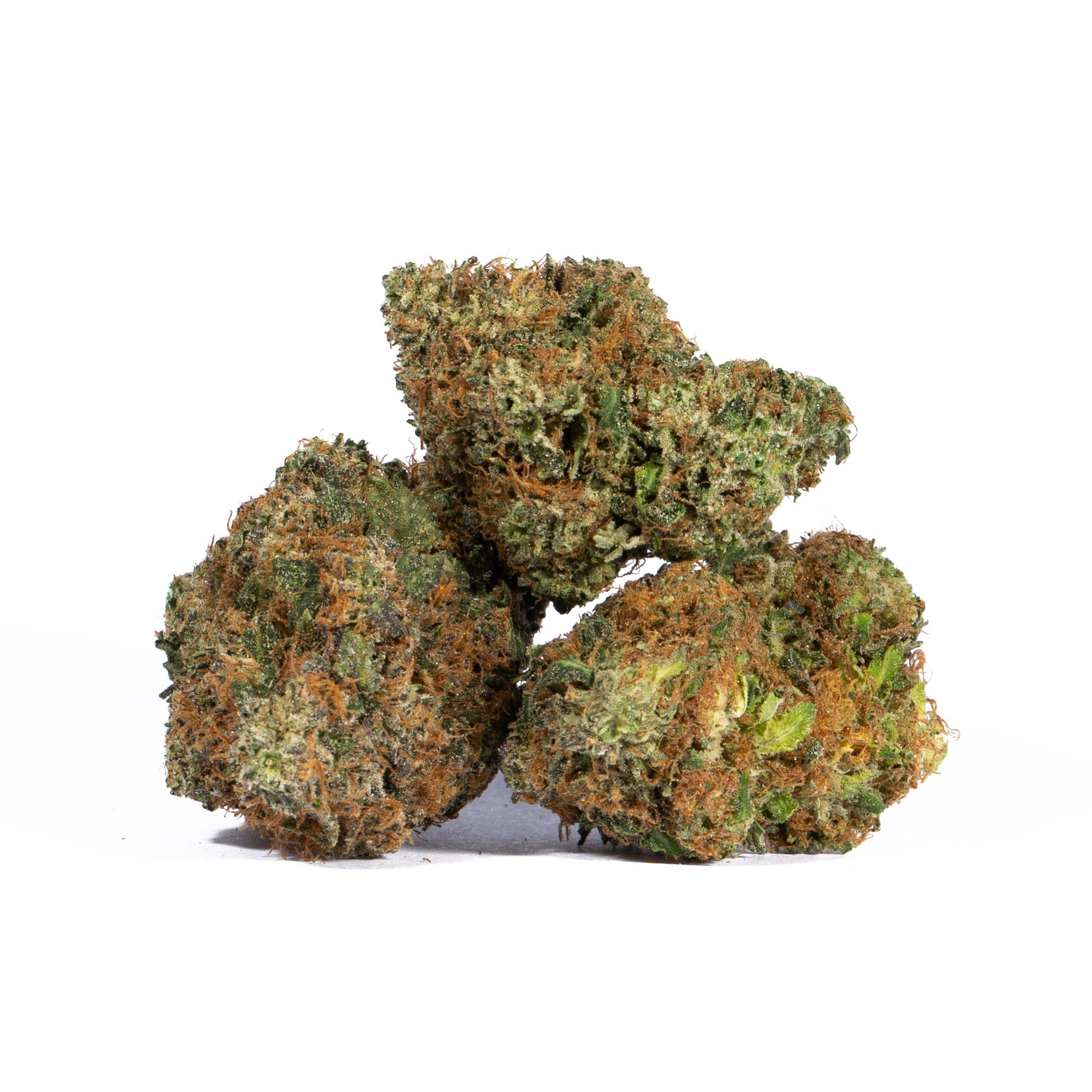 Pink Gorilla (AAA+) Promo - Image 4