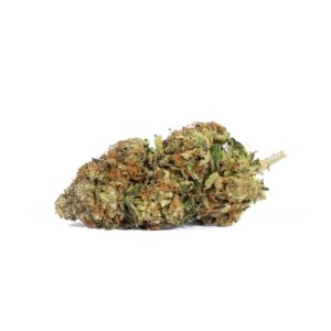 Alternative view of Tropicana Haze (AAAA)